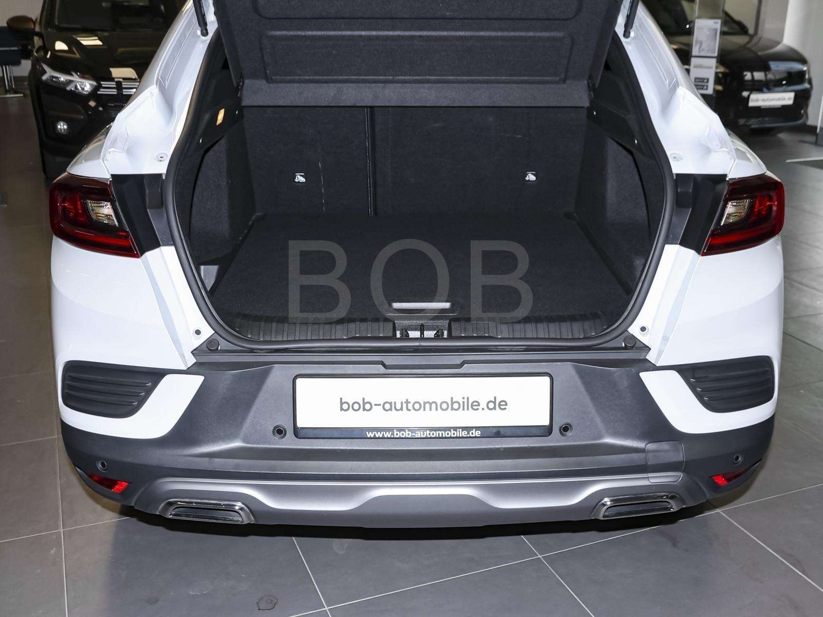 Fahrzeugbild eines Renault Arkana