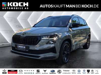Bild Skoda Karoq