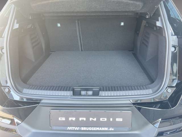 Fahrzeugbild eines Mitsubishi Grandis