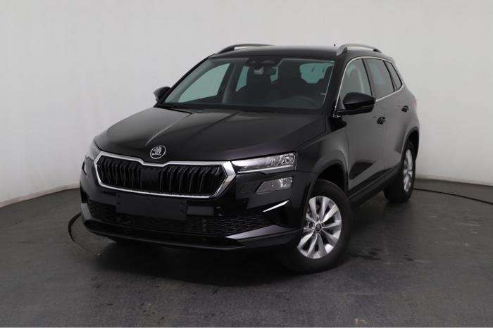 Fahrzeugbild eines Skoda Karoq