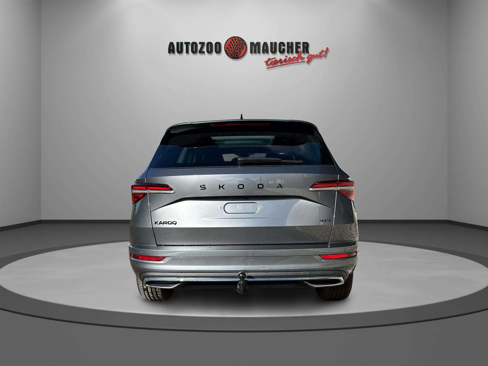 Fahrzeugbild eines Skoda Karoq