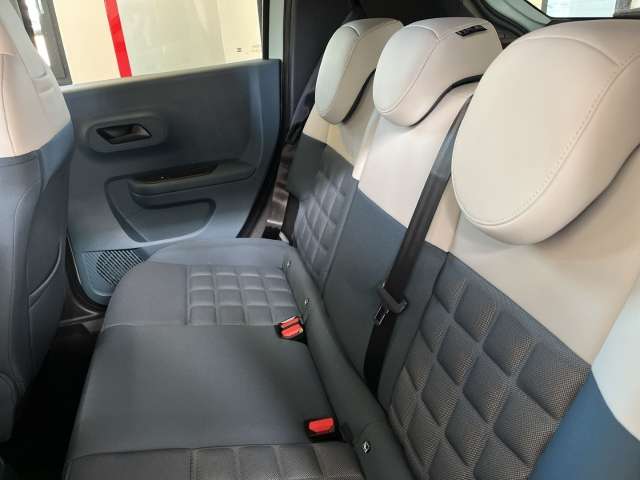 Fahrzeugbild eines Fiat Grande Panda