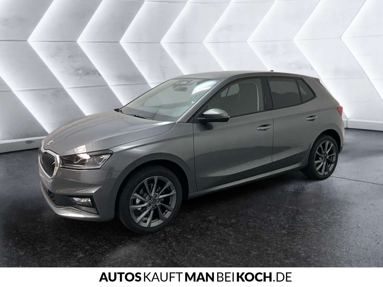 Fahrzeugbild eines Skoda Fabia