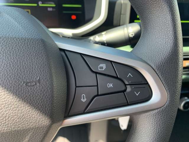 Fahrzeugbild eines Dacia Spring