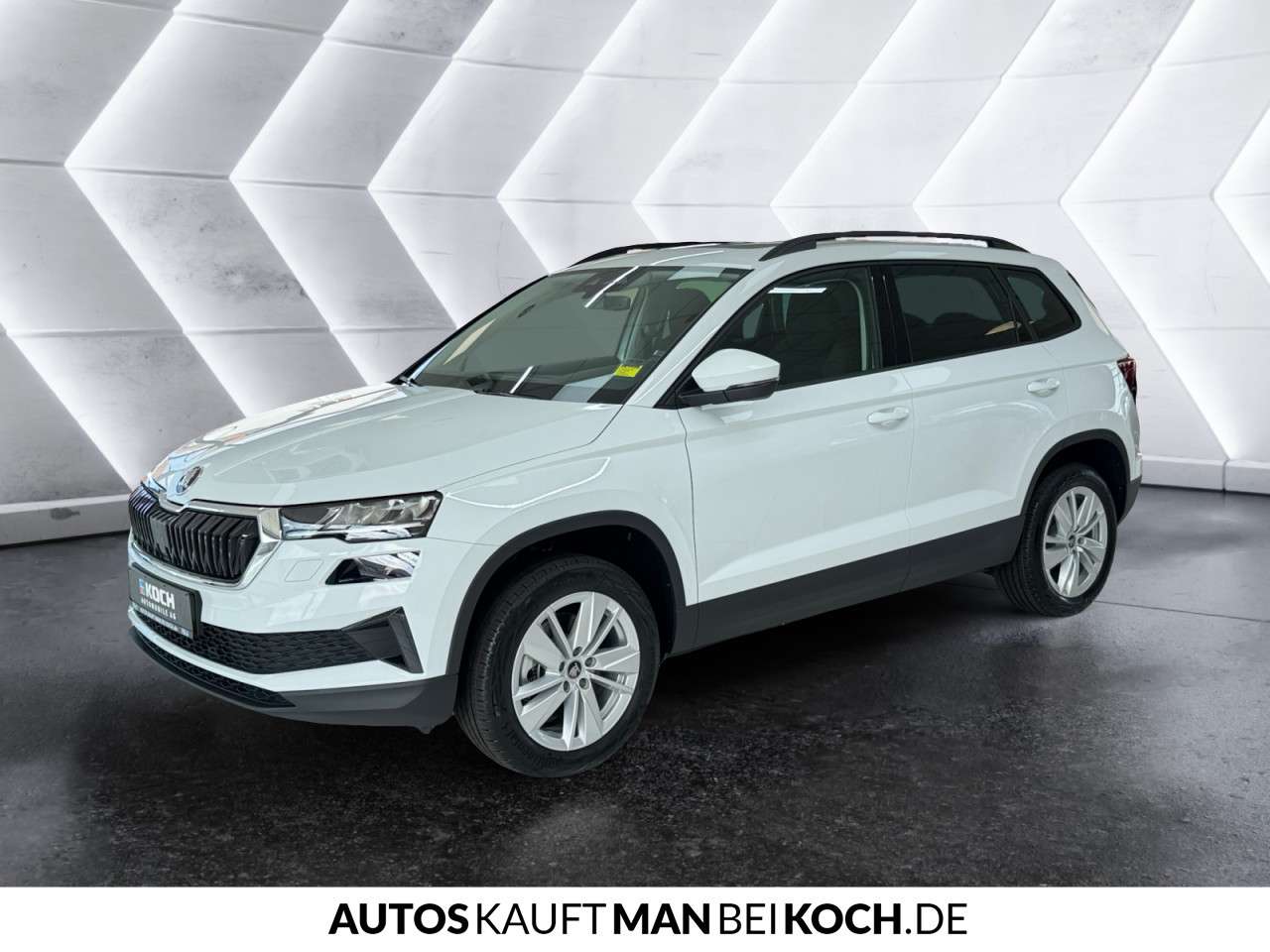 Fahrzeugbild eines Skoda Karoq