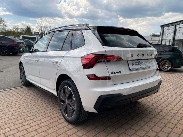 Fahrzeugbild eines Skoda Kamiq