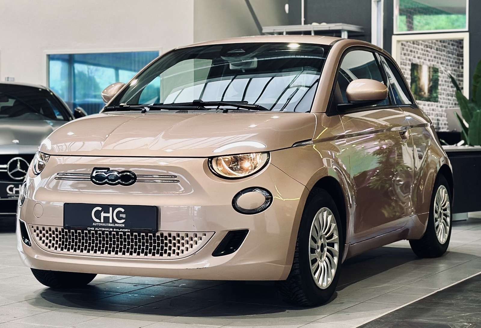 Fahrzeugbild eines Fiat 500
