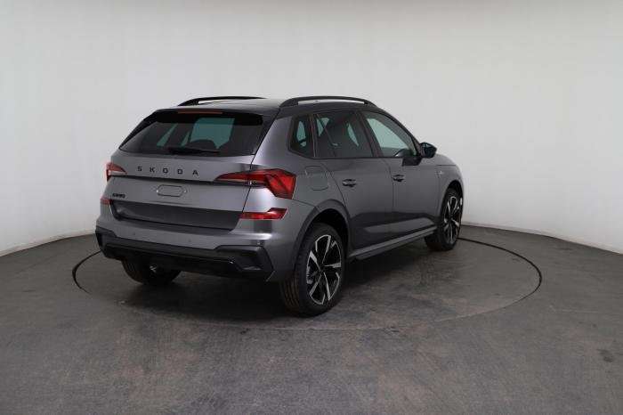 Fahrzeugbild eines Skoda Kamiq