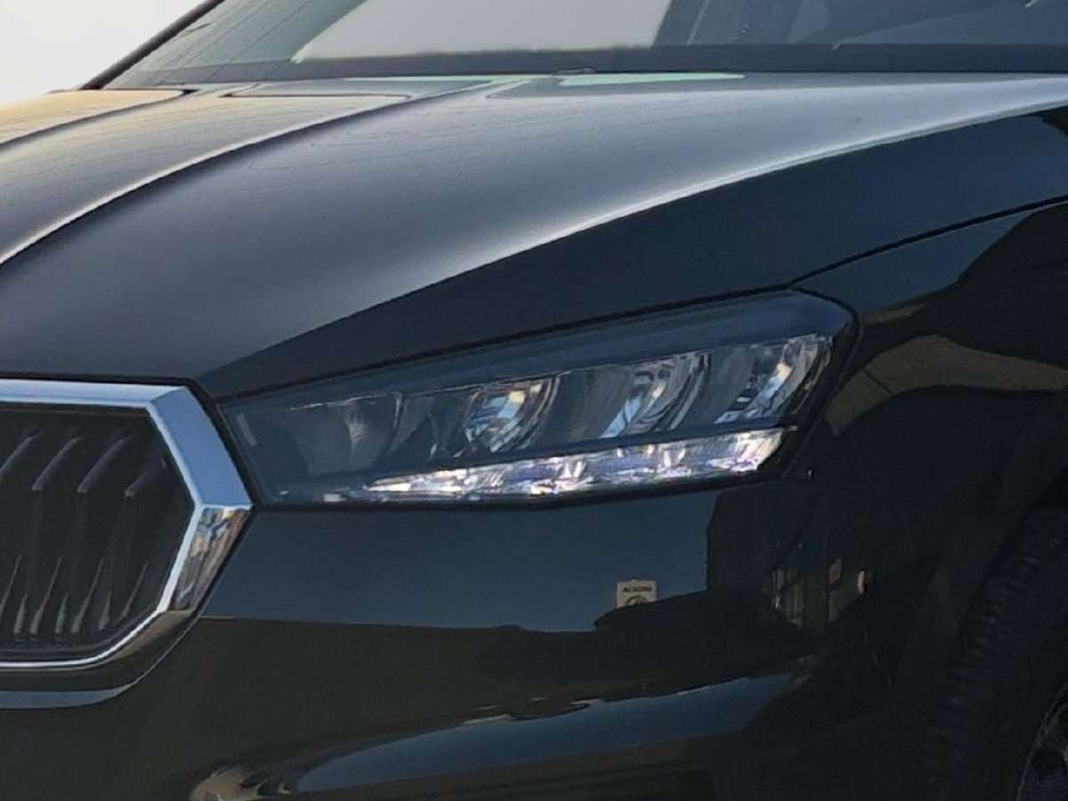 Fahrzeugbild eines Skoda Fabia