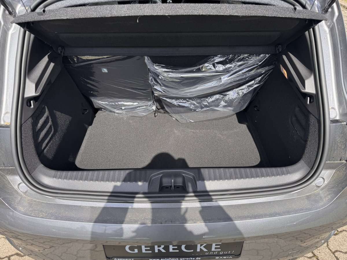 Fahrzeugbild eines Renault Clio