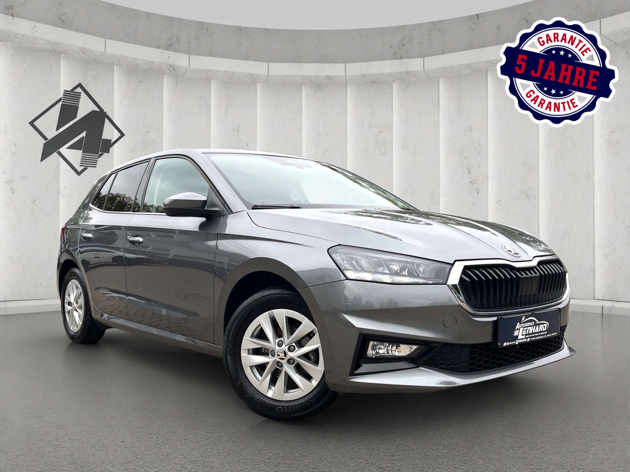 Fahrzeugbild eines Skoda Fabia