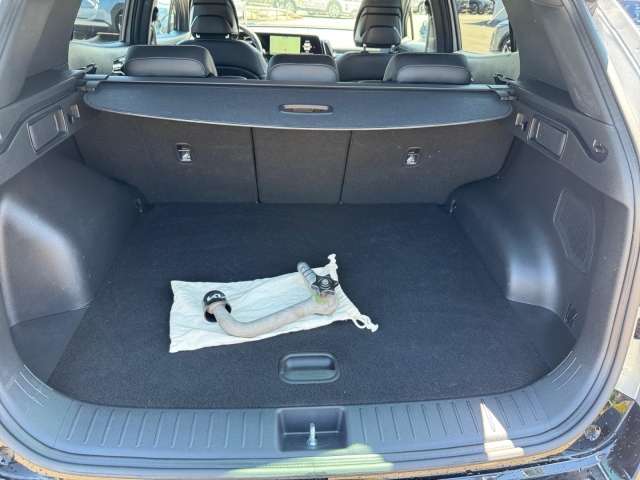 Fahrzeugbild eines Kia Sportage