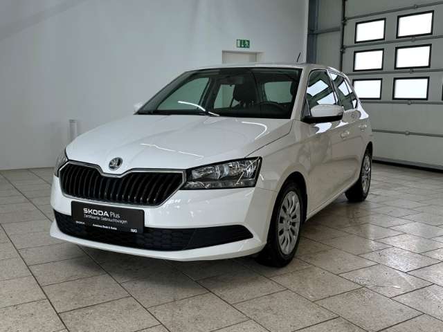 Fahrzeugbild eines Skoda Fabia