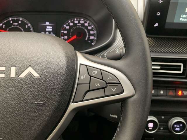 Fahrzeugbild eines Dacia Sandero