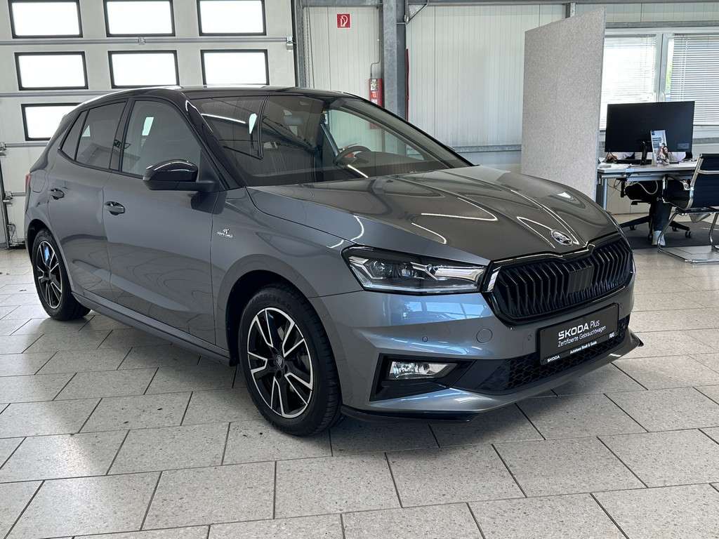 Fahrzeugbild eines Skoda Fabia