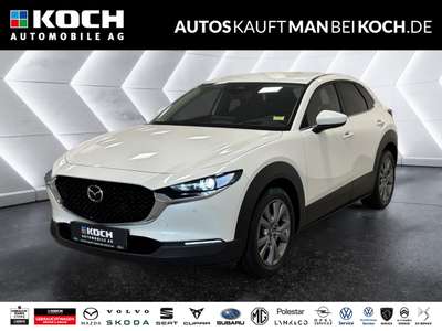 Bild Mazda CX-30