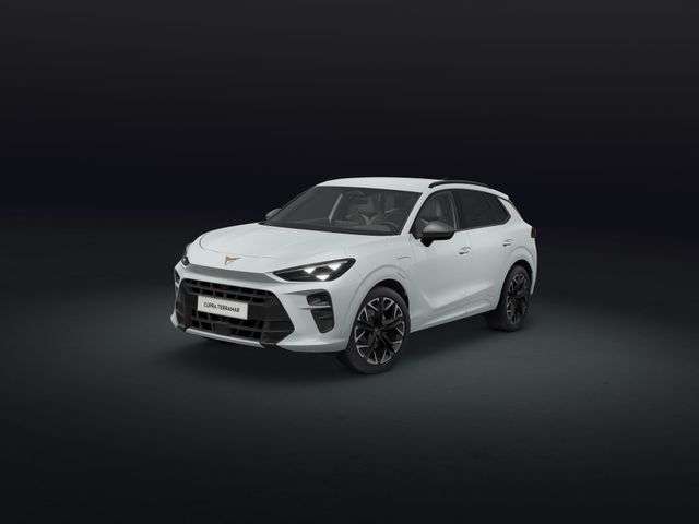 Fahrzeugbild eines CUPRA Terramar