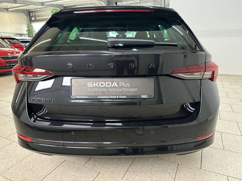Fahrzeugbild eines Skoda Octavia