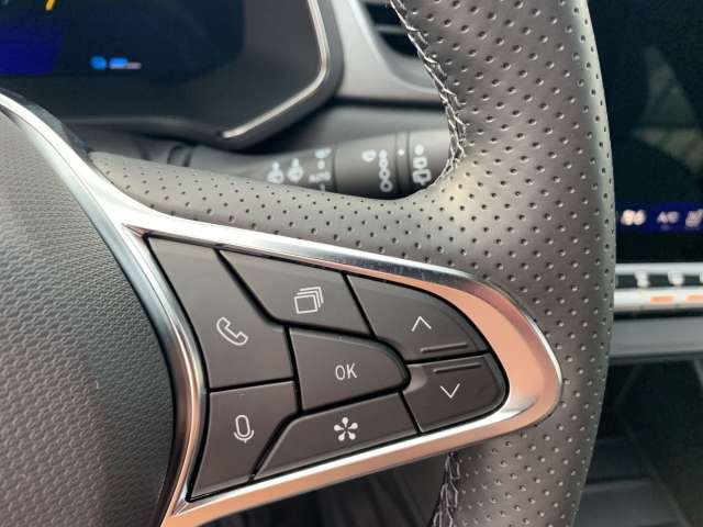 Fahrzeugbild eines Renault Symbioz