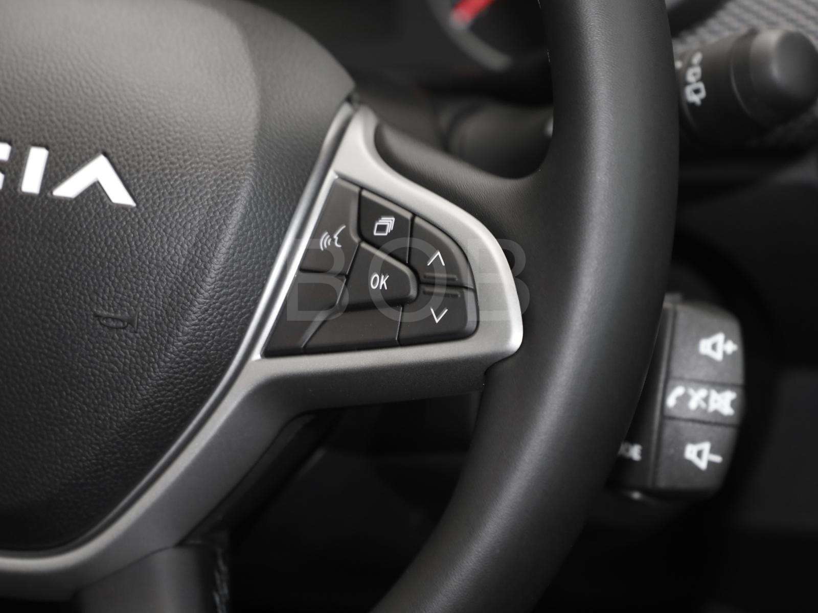 Fahrzeugbild eines Dacia Sandero