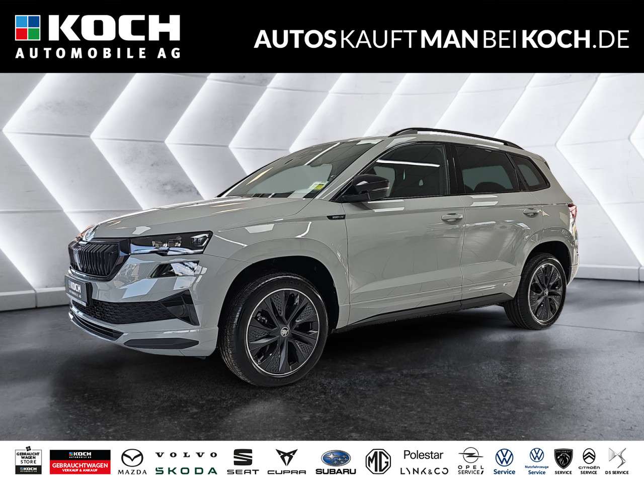 Fahrzeugbild eines Skoda Karoq
