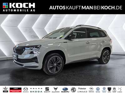 Bild Skoda Karoq