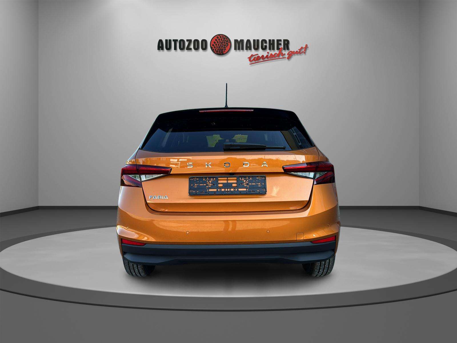 Fahrzeugbild eines Skoda Fabia
