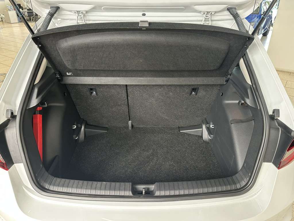 Fahrzeugbild eines Skoda Fabia