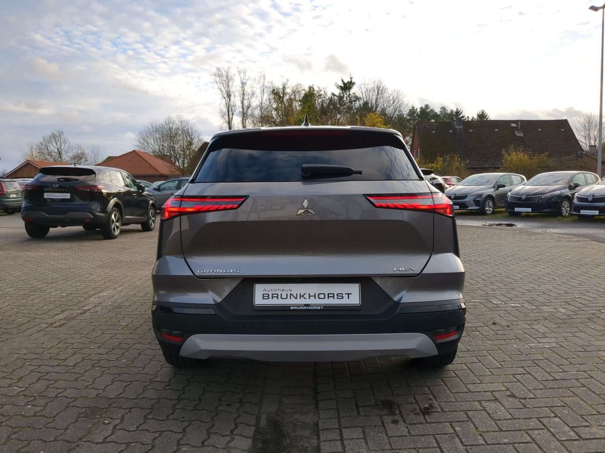 Fahrzeugbild eines Mitsubishi Grandis