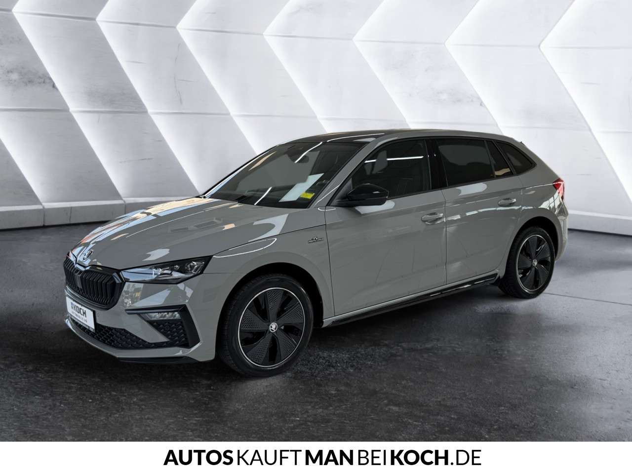 Fahrzeugbild eines Skoda Scala