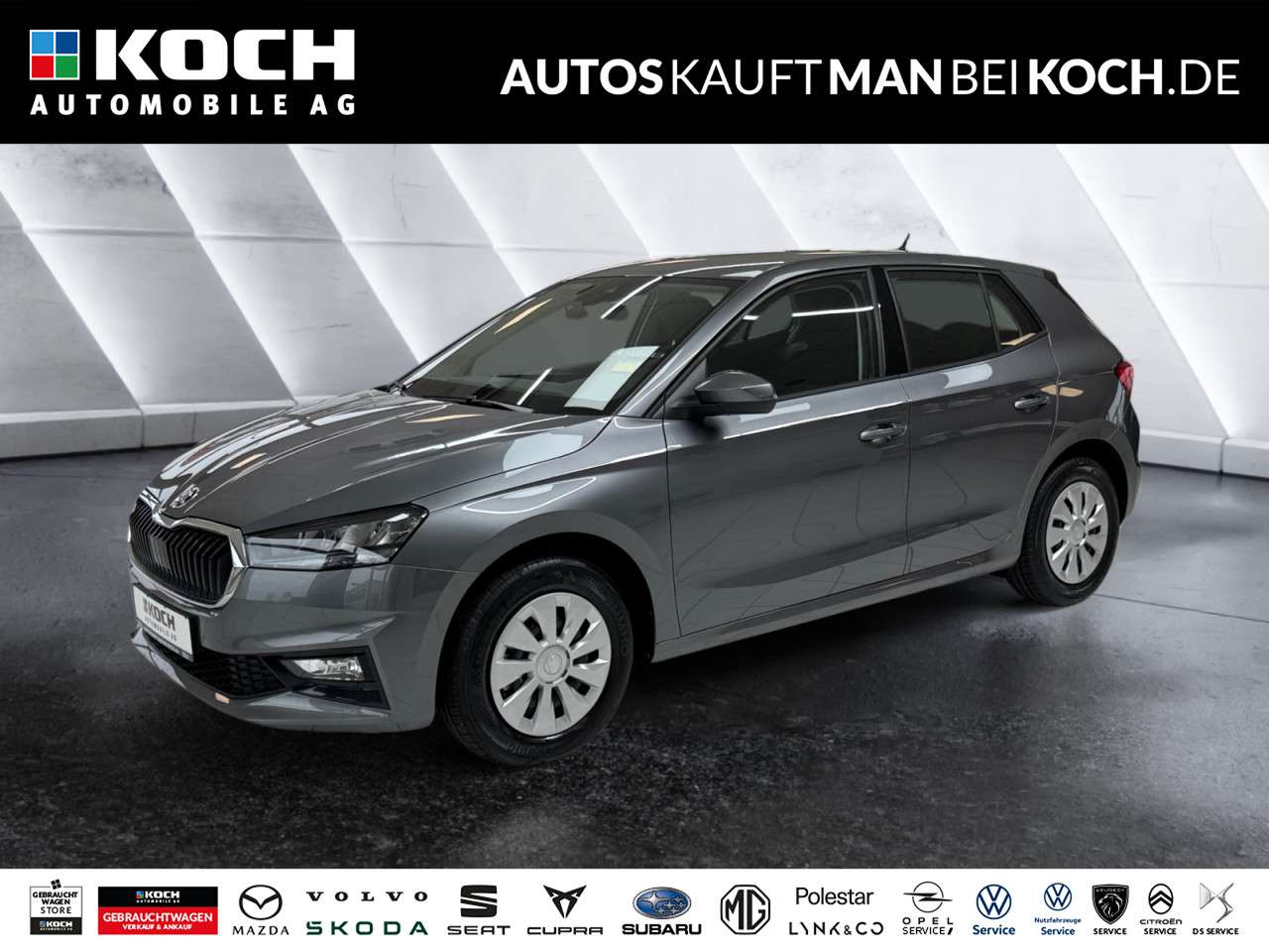 Fahrzeugbild eines Skoda Fabia