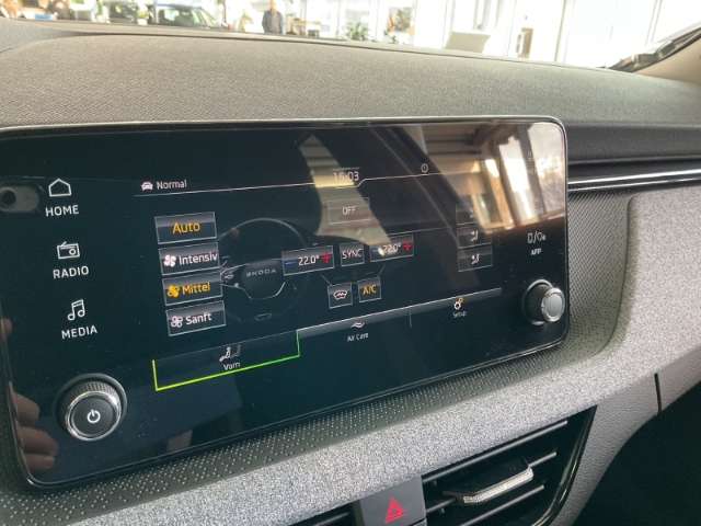 Fahrzeugbild eines Skoda Kamiq