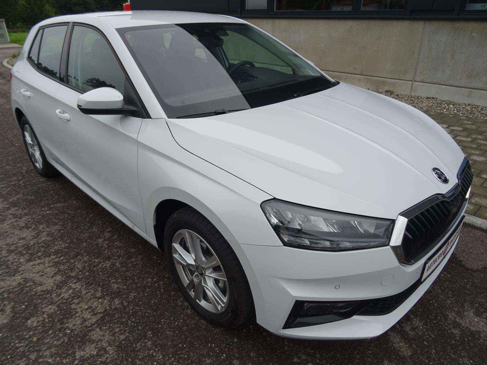 Fahrzeugbild eines Skoda Fabia