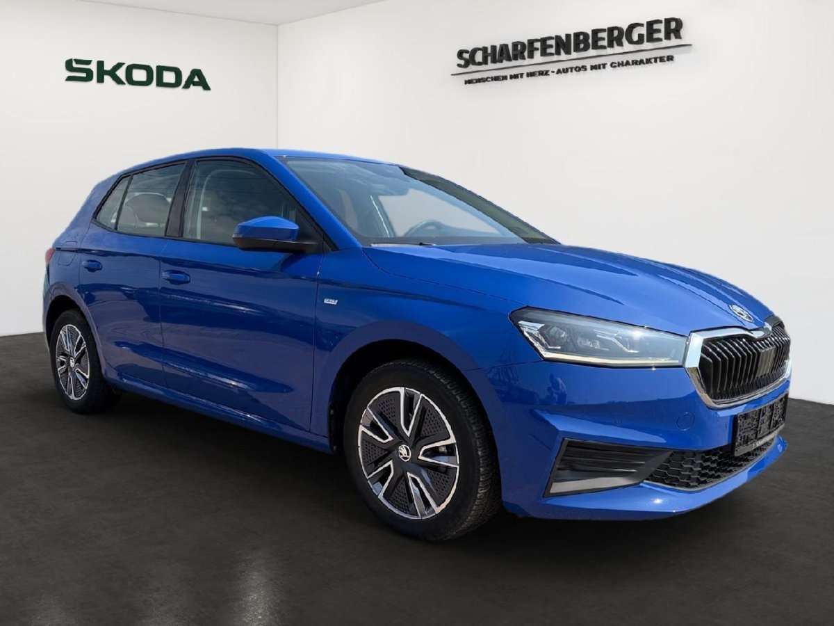 Fahrzeugbild eines Skoda Fabia
