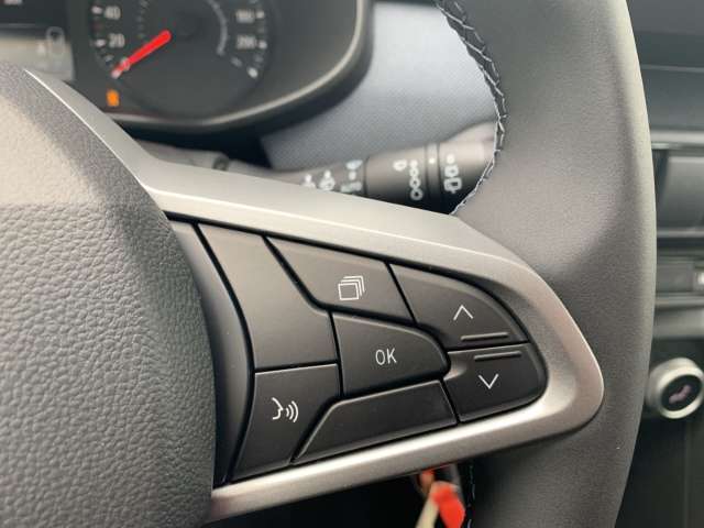 Fahrzeugbild eines Dacia Sandero