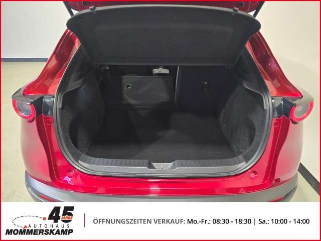 Fahrzeugbild eines Mazda CX-30