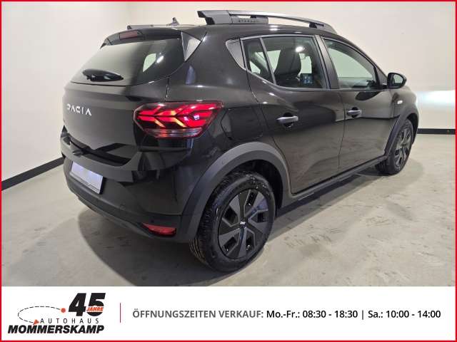 Fahrzeugbild eines Dacia Sandero