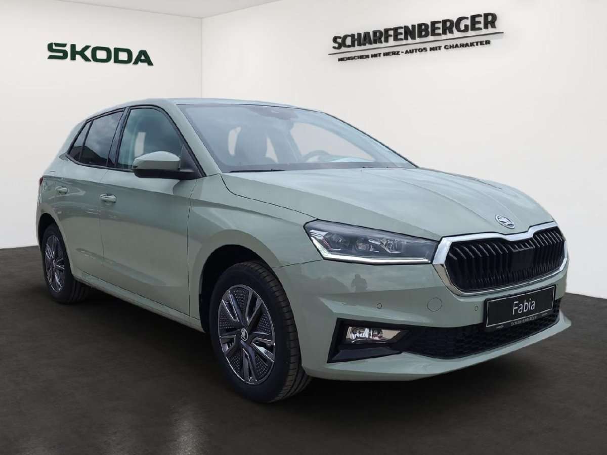 Fahrzeugbild eines Skoda Fabia