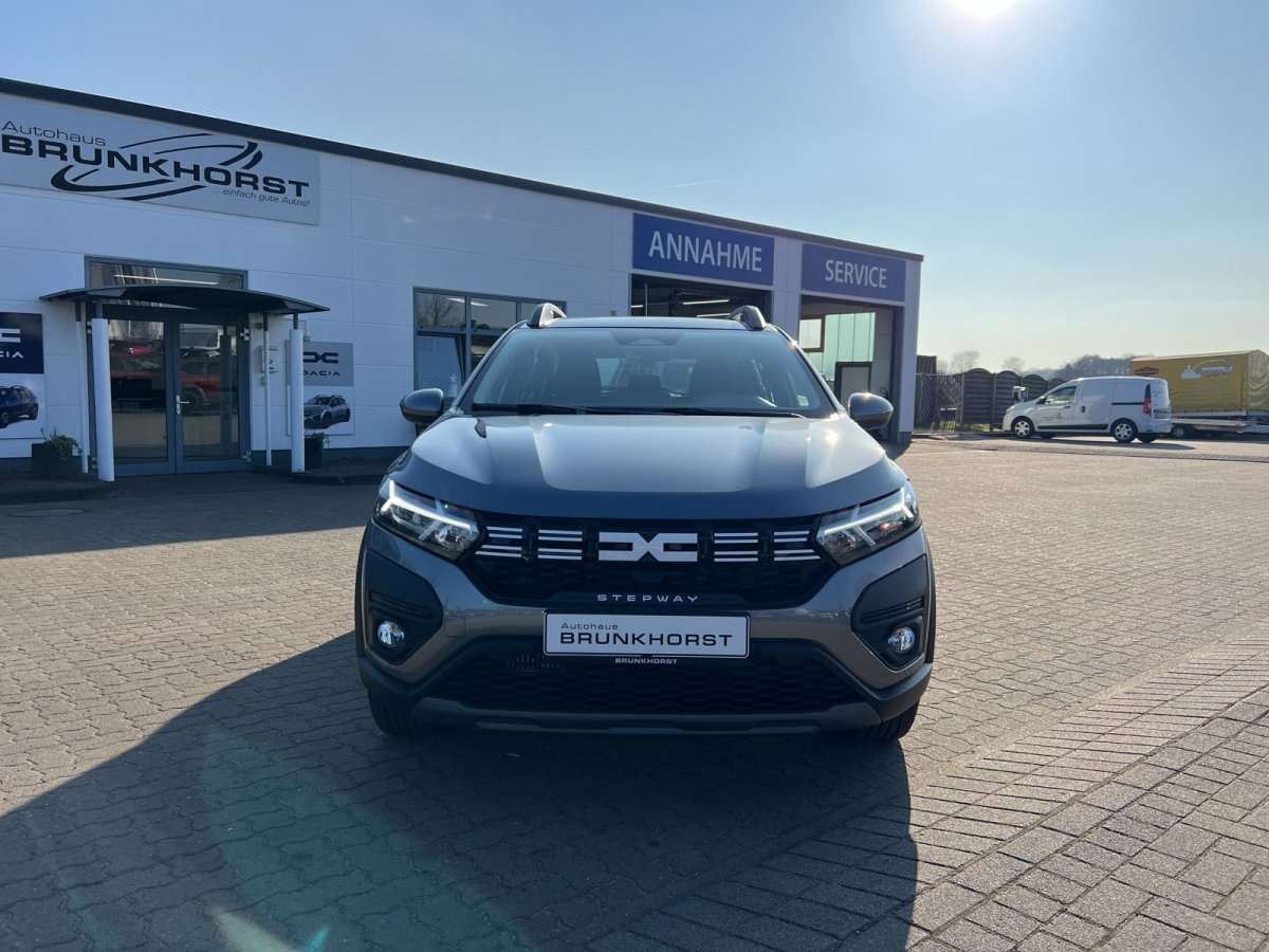 Fahrzeugbild eines Dacia Sandero