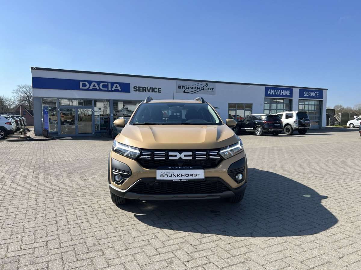 Fahrzeugbild eines Dacia Sandero