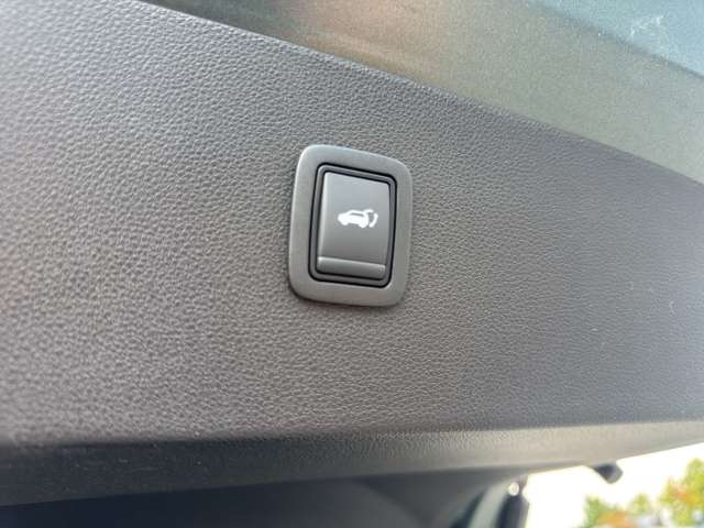 Fahrzeugbild eines Dacia Bigster