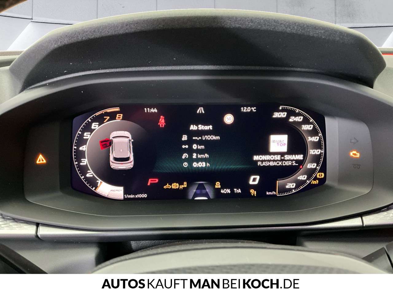 Fahrzeugbild eines CUPRA Terramar