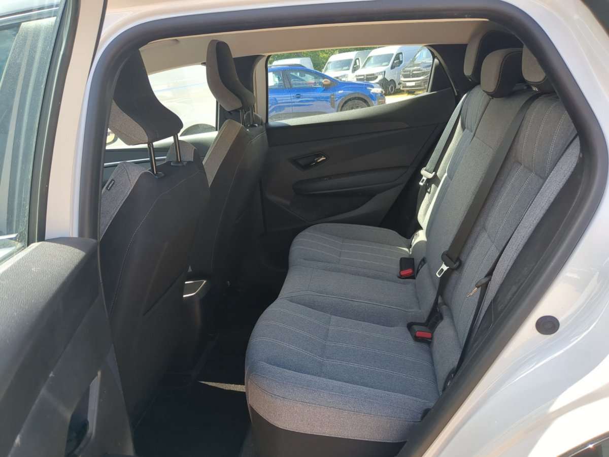Fahrzeugbild eines Renault Mégane