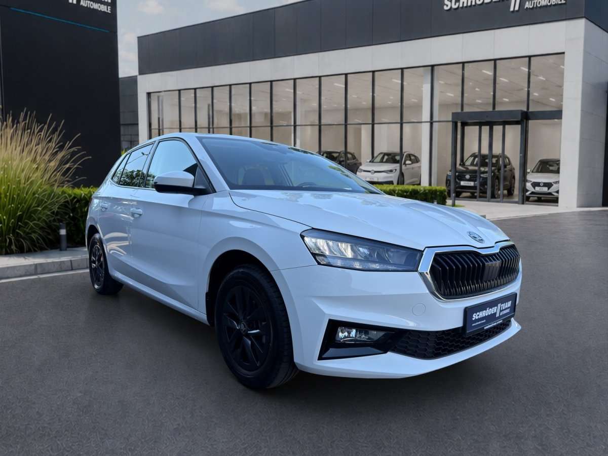 Fahrzeugbild eines Skoda Fabia