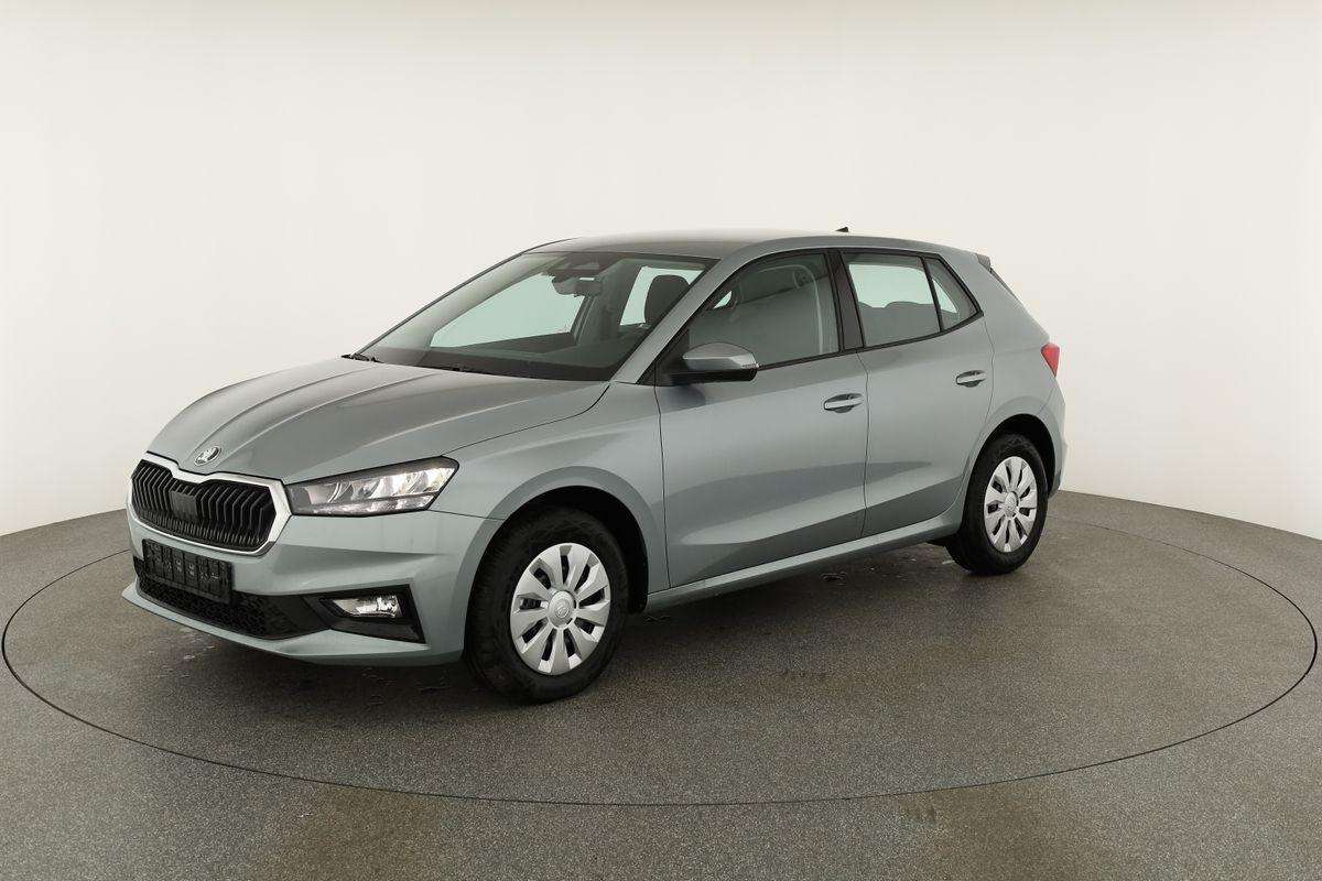 Fahrzeugbild eines Skoda Fabia