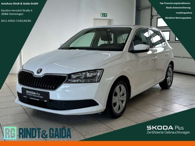 Fahrzeugbild eines Skoda Fabia