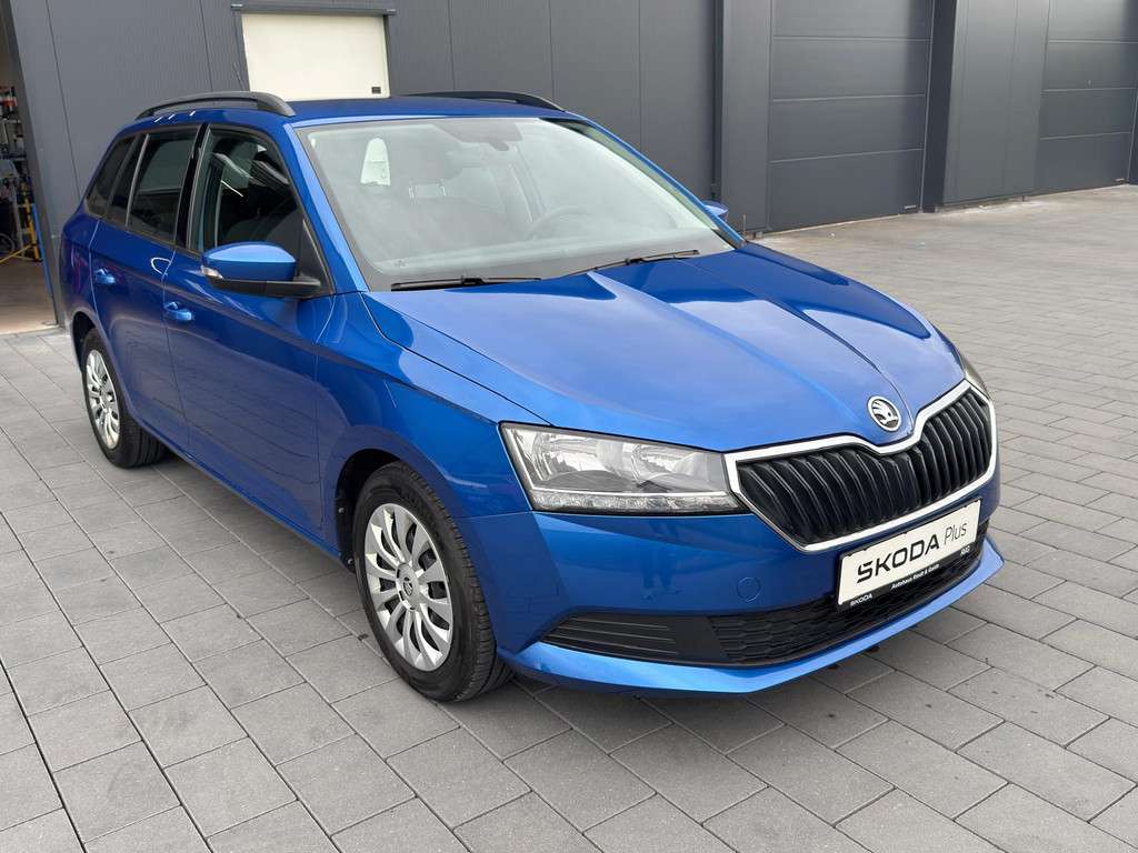 Fahrzeugbild eines Skoda Fabia
