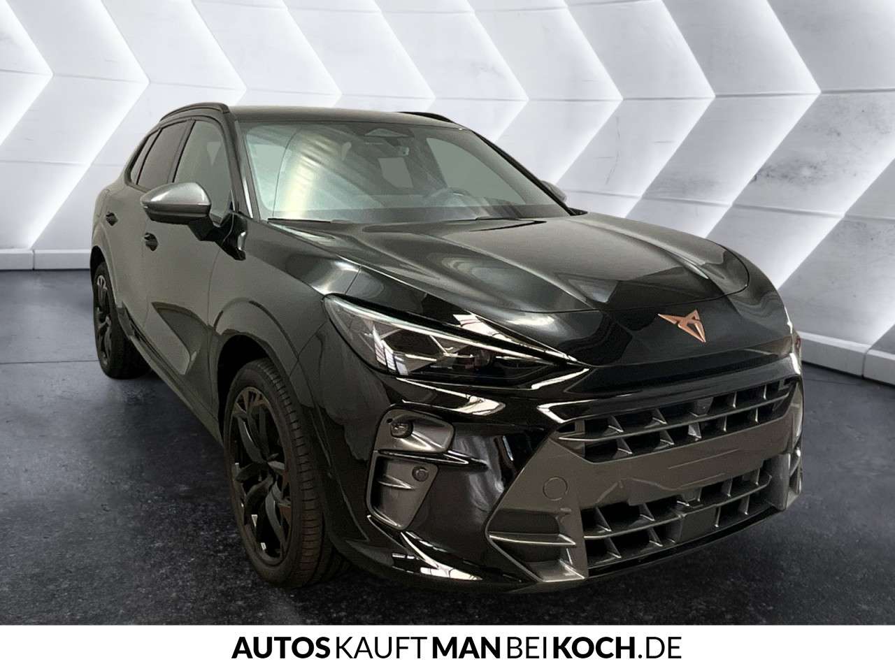 Fahrzeugbild eines CUPRA Terramar
