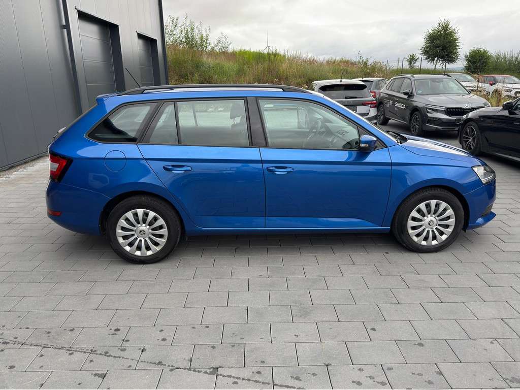 Fahrzeugbild eines Skoda Fabia