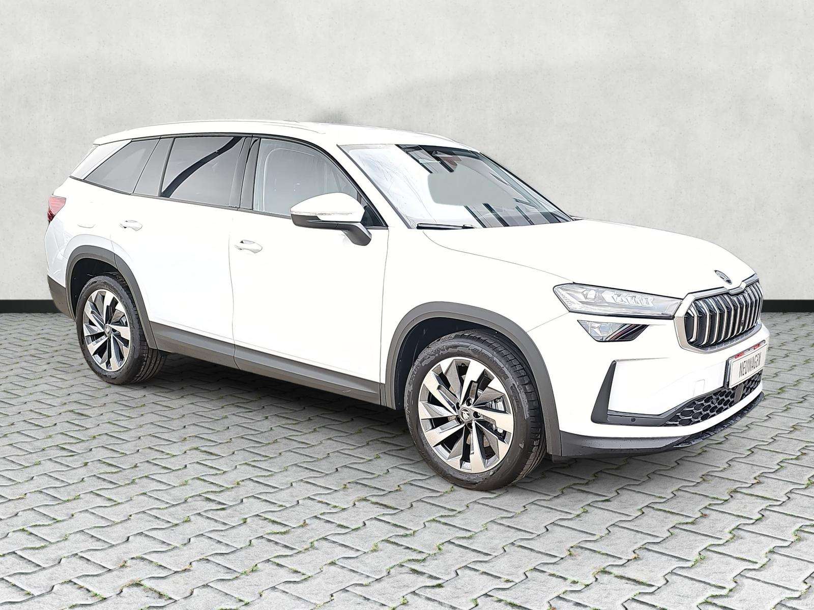 Fahrzeugbild eines Skoda Kodiaq